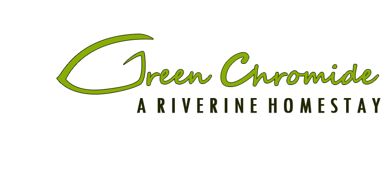 Green Chromide Munroe Homestays